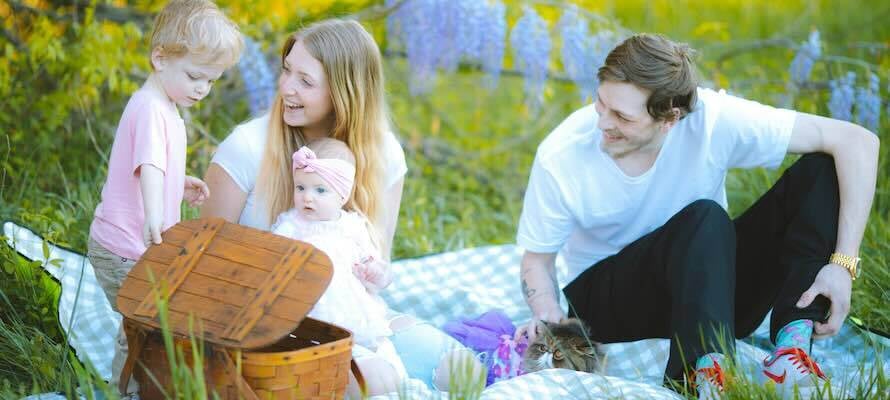 family picnic content